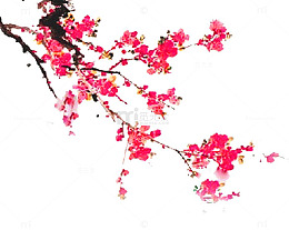 一枝梅花