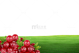 纯天然蔓越莓产品海报