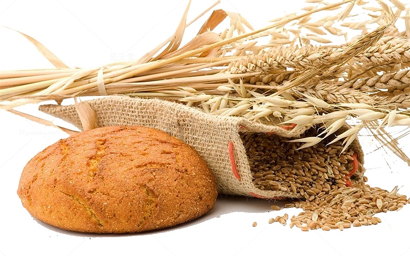 麦子做的面包小麦米