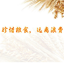 珍惜粮食拒绝浪费