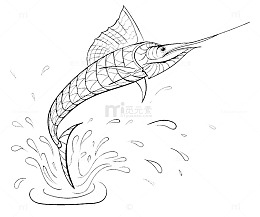 线描插画剑鱼