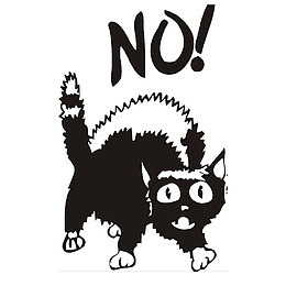 吓到的黑猫