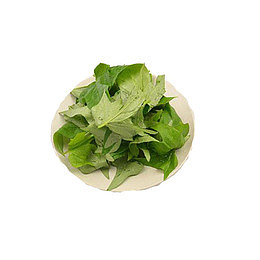 新鲜蔬菜