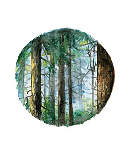 矢量水彩山林