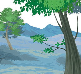 矢量山林