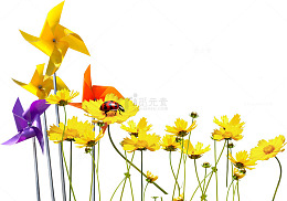 吹动的风车鲜花