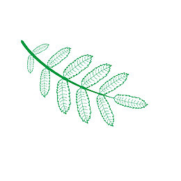 绿色矢量叶子