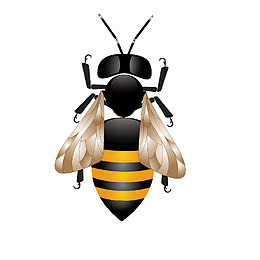 鼠绘小蜜蜂