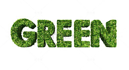 绿色英文GREEN