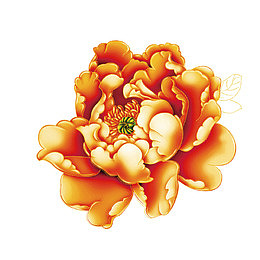 手绘牡丹花装饰图案