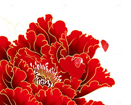 富贵牡丹花