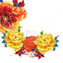唯美鲜花素材