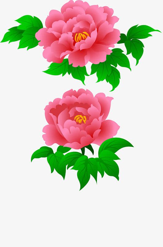 红色油纸伞png一丛喜庆的金边牡丹png杜鹃花png卡通红色的牡丹花png