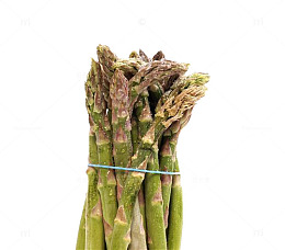 莴笋橡皮筋