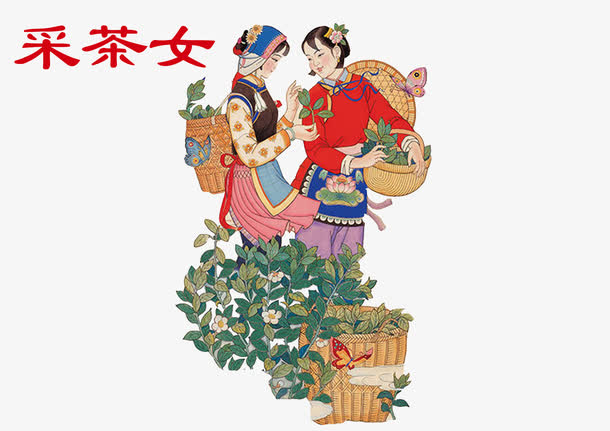 采茶采茶女