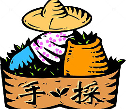 卡通采茶素材背景