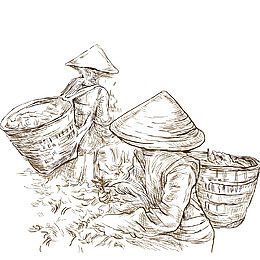 采茶人矢量素材