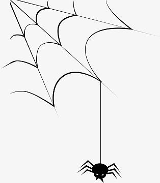 黑色线条蜘蛛网