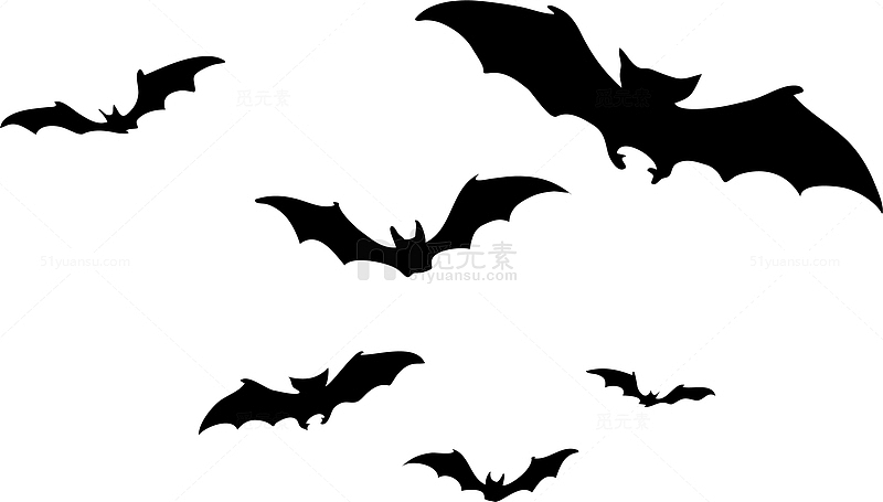 黑色飞翔蝙蝠