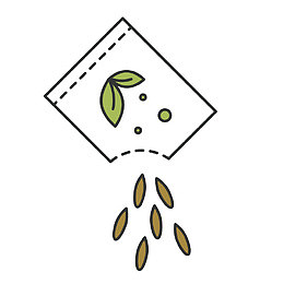 白色茶叶