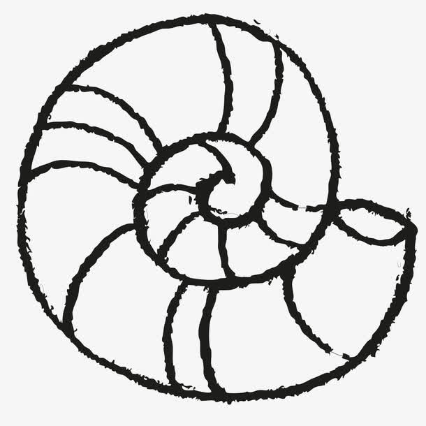 蜗壳的简单画法图片