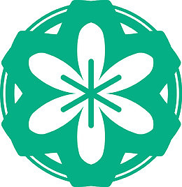 绿色曼陀罗对称花纹