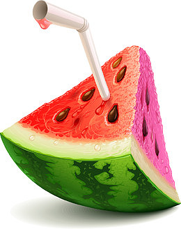 手绘西瓜片和吸管矢量图
