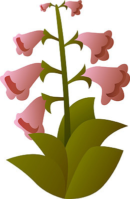 喇叭花矢量