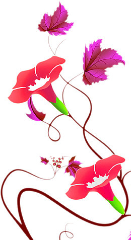 红色喇叭花