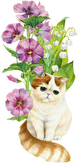 手绘喇叭花下的猫