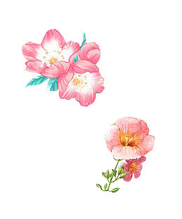 手绘水墨粉色鲜花
