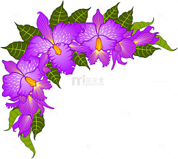 紫色喇叭花
