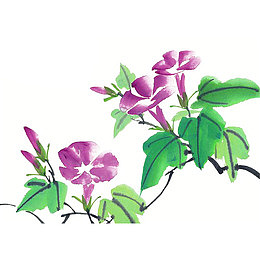 水墨牵牛花
