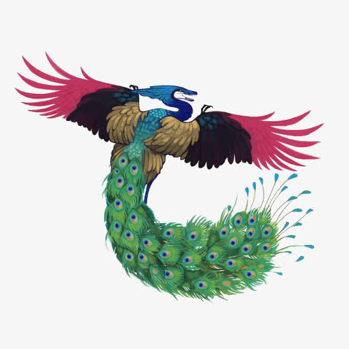 孔雀开屏
