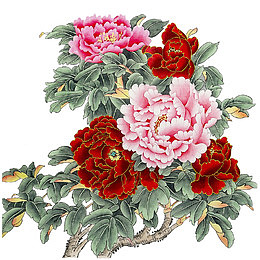 一枝金边牡丹国画