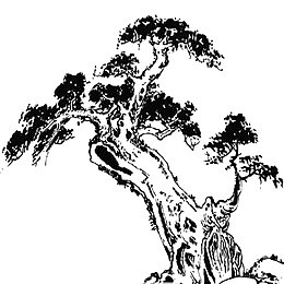 黑白老树