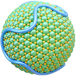 脂蛋白多肽分子