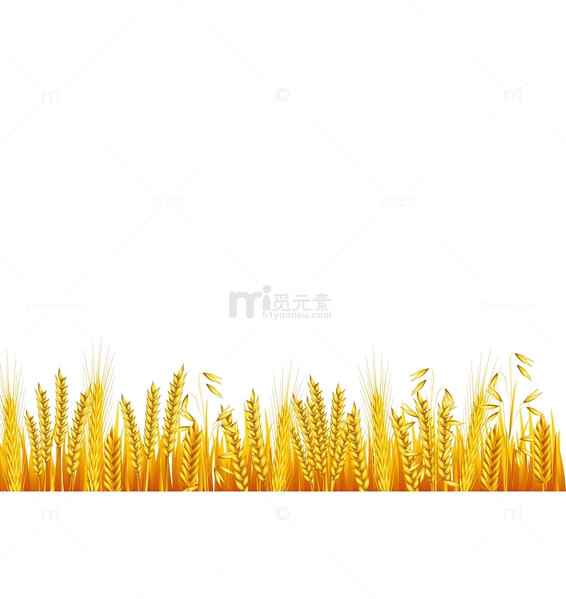 卡通小麦穗装饰图