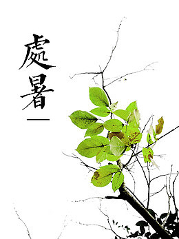 清新处暑节气海报