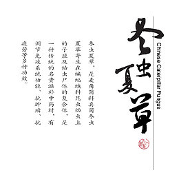 冬虫夏草