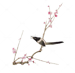 枝上花鸟