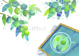 青枣插画