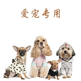 爱宠专用宠物店宣传单