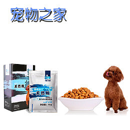 宠物店宣传单狗粮