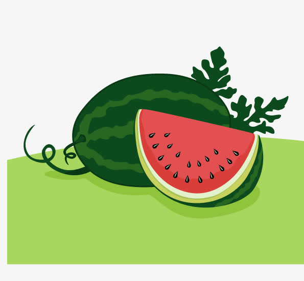 矢量西瓜