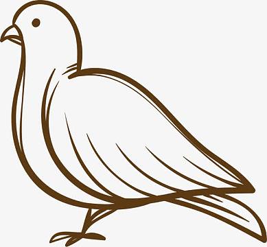 鸽子简素材_鸽子简图片元素-觅元素