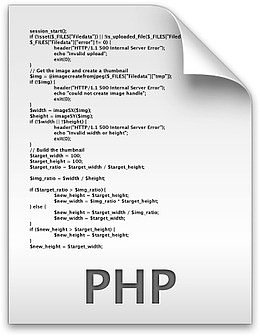 php格式图标