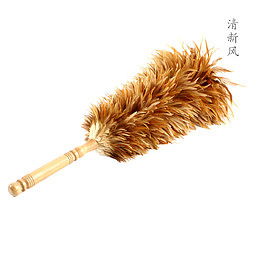 一把羽毛掸子