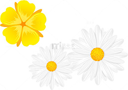 卡通菊花