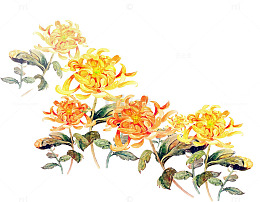 卡通手绘菊花装饰图案